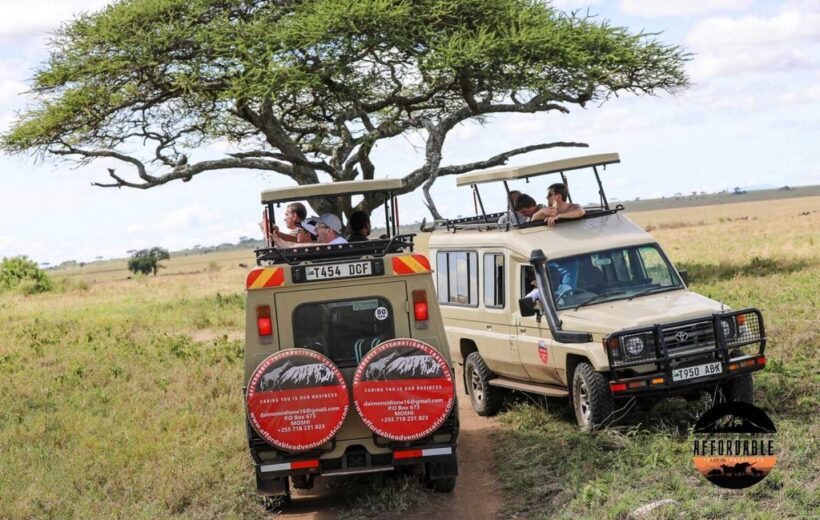 Ultimate Adventure: Experience the Best of Tanzania Safari in Just 3 Days!