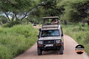 Safari Dreams Come True: Discover the Magic of Tanzania in Just 4 Days