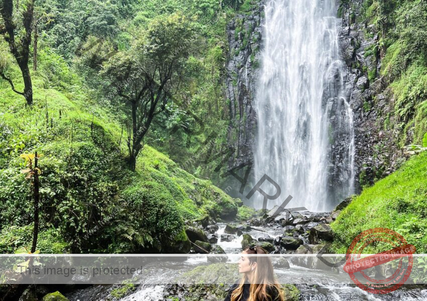 Experience Pure Bliss