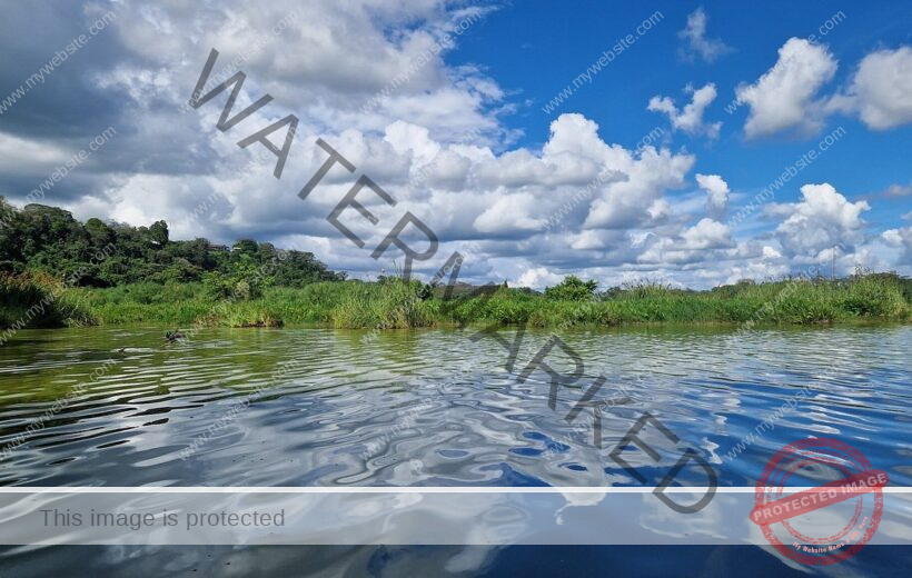 Lake Duluti: 1-Day Magical Escape