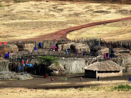 maasai village ngorongoro