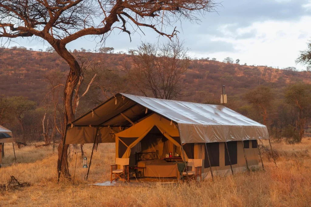 serengeti kati kati tented camp room tented suite exterior 01.c5e43dcd