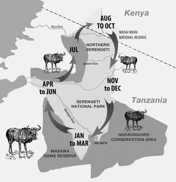 serengeti migration map