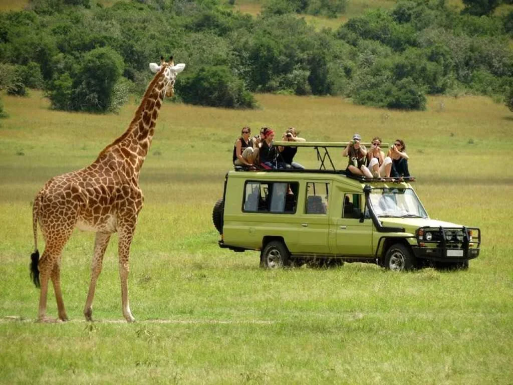 Arusha National Park Day Trip 1593517254