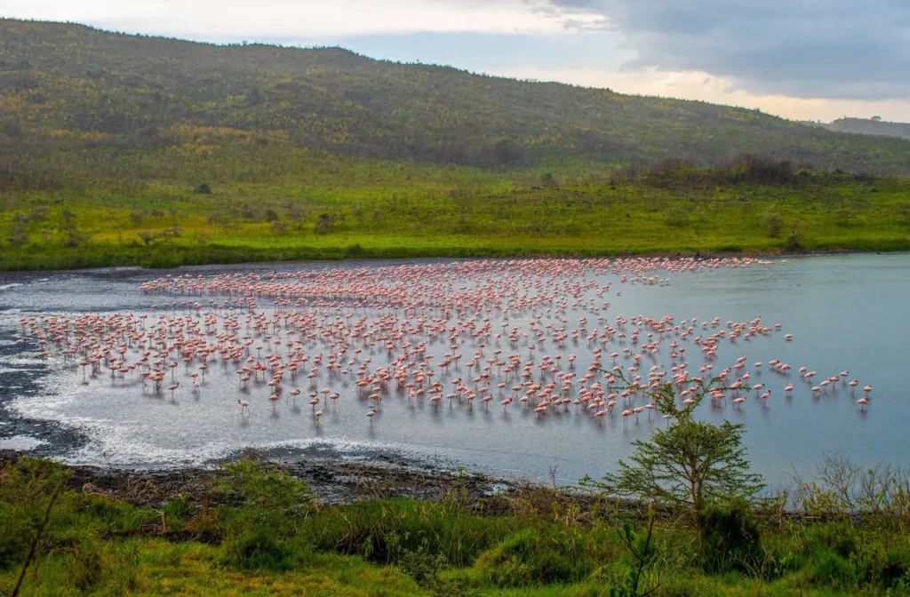 Momella Lakes Arusha National Park