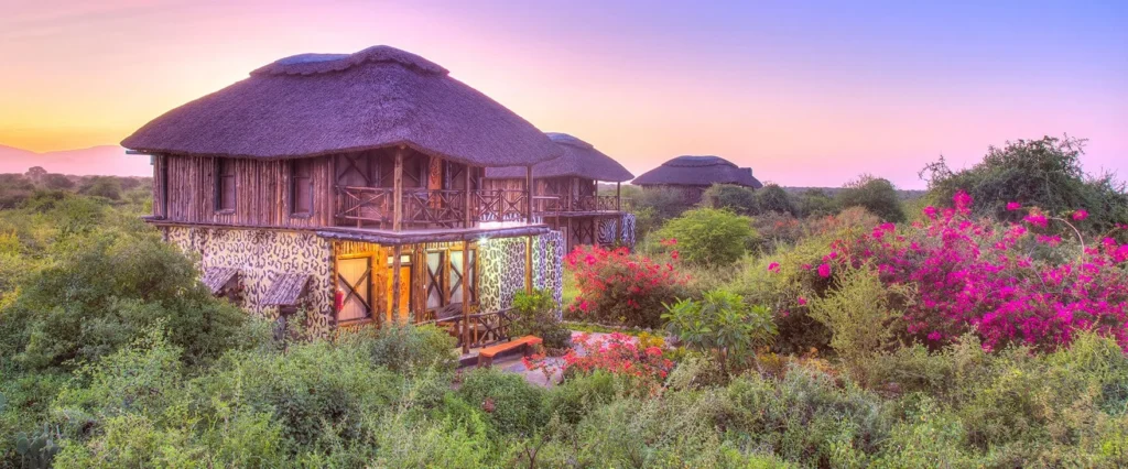 manyara wildlife safari camp