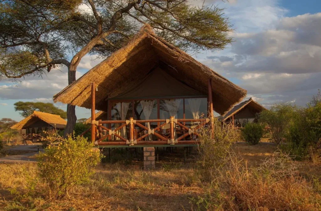 tarangire simba lodge 5