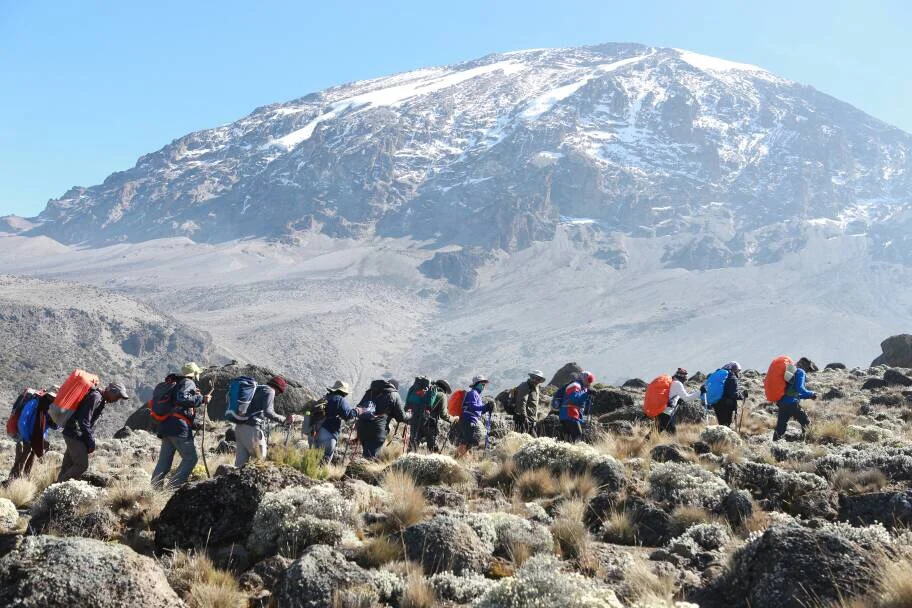 Lemosho Route Kilimanjaro 3