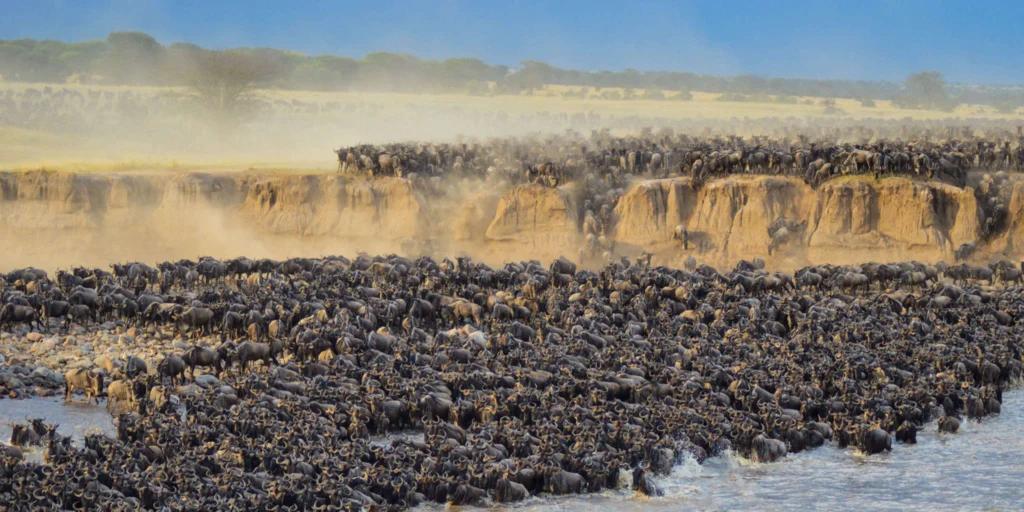 greatmigration