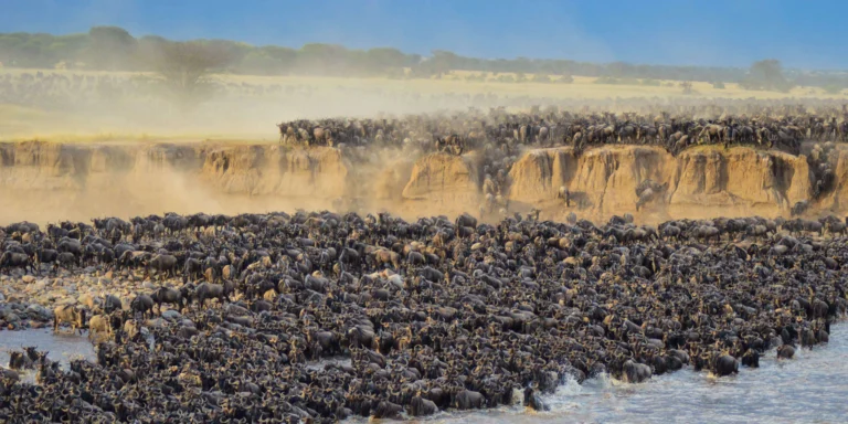 greatmigration
