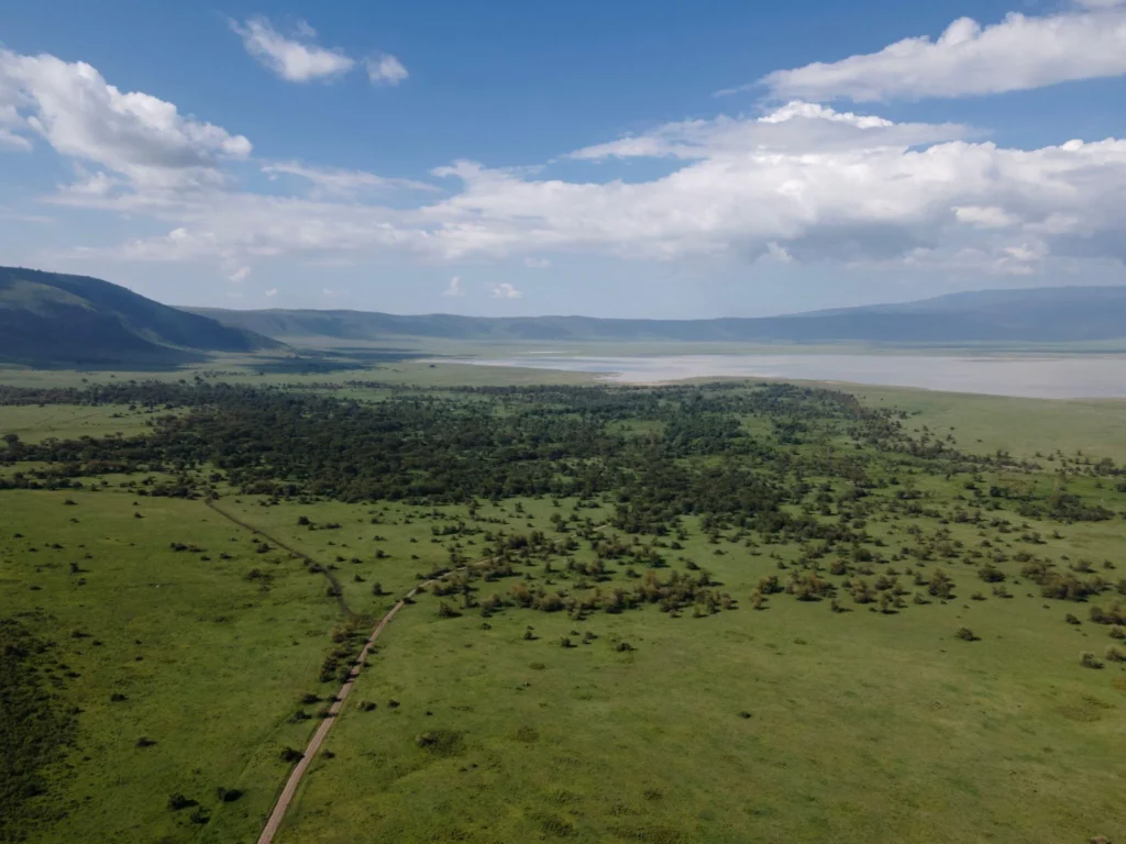 NGORONGORO