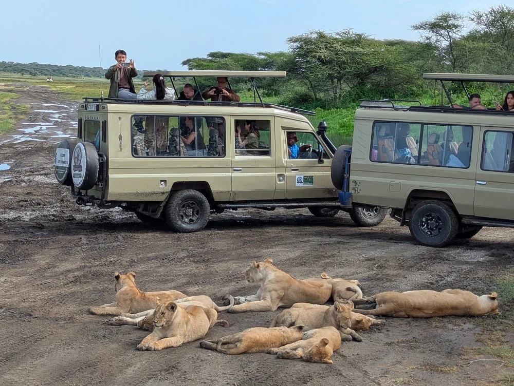 5 days katavi national park safari