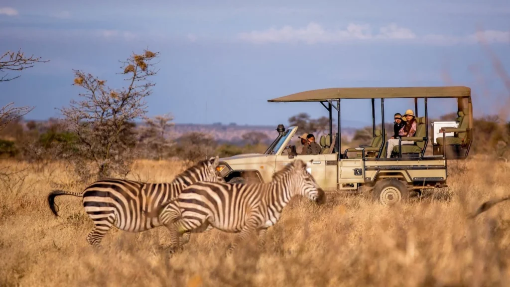 Game Drives in Selous Game Reserve