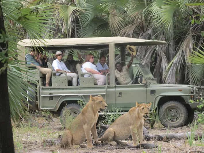 selous game reserve 4