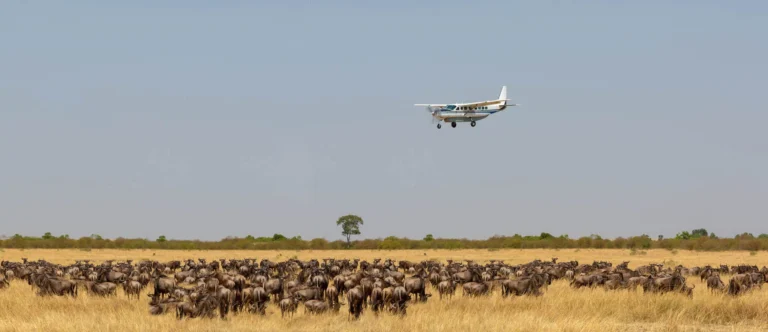 fly over serengeti 2
