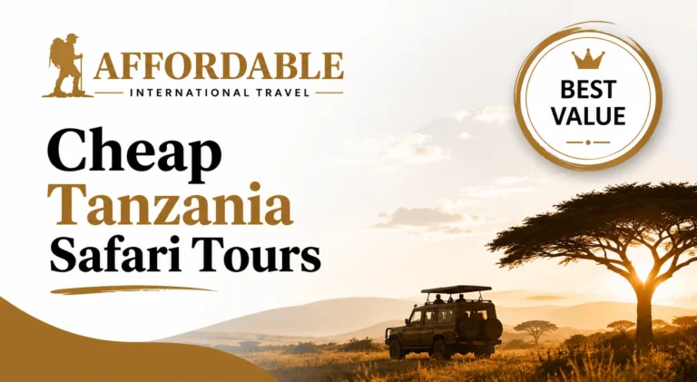 cheap Tanzania safari tours