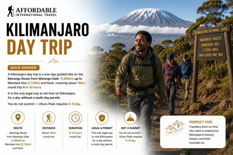 kilimanjaro day trip