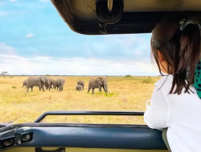 Solo safari in Tanzania