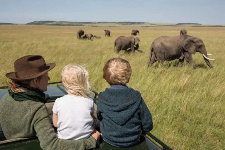 tanzania family safaris