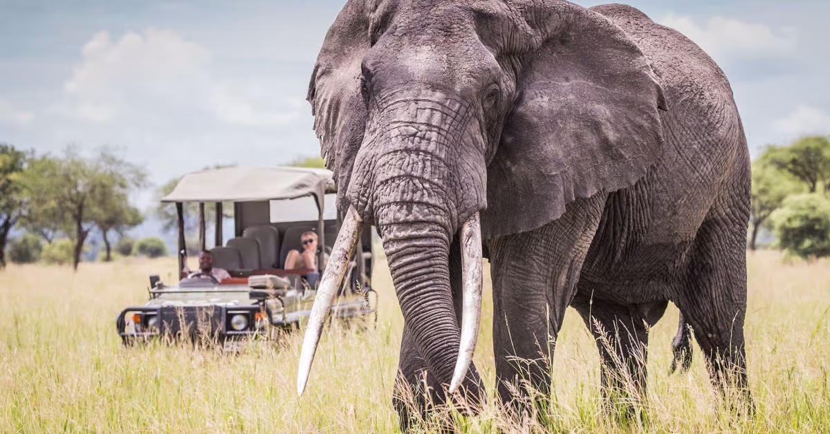1-lake-manyara-national-park-tanzania-timbuktu-travel-1c-copy