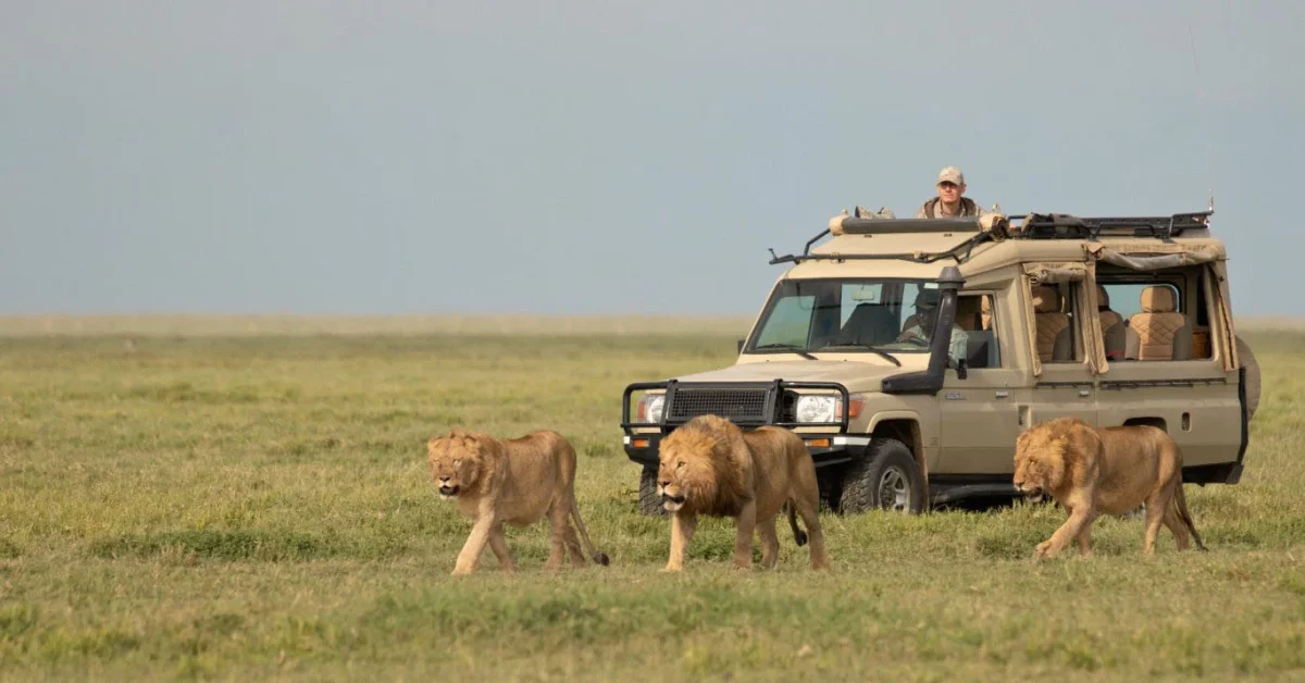 1759755012173-Can I see the big five on Budget Tanzania safari vacation holyday