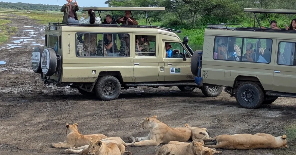 5 days katavi national park safari