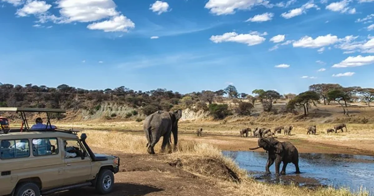 Arusha-National-Park-Day-Trips_1573451256-750x450