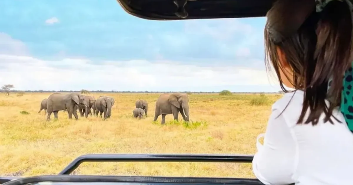 Solo-safari-in-Tanzania