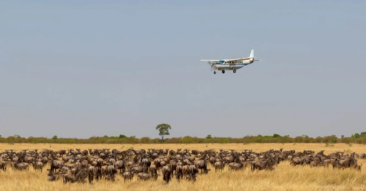 fly-over-serengeti_2