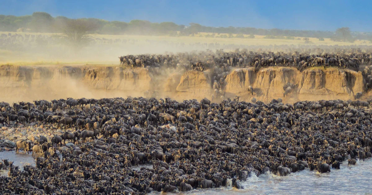 greatmigration
