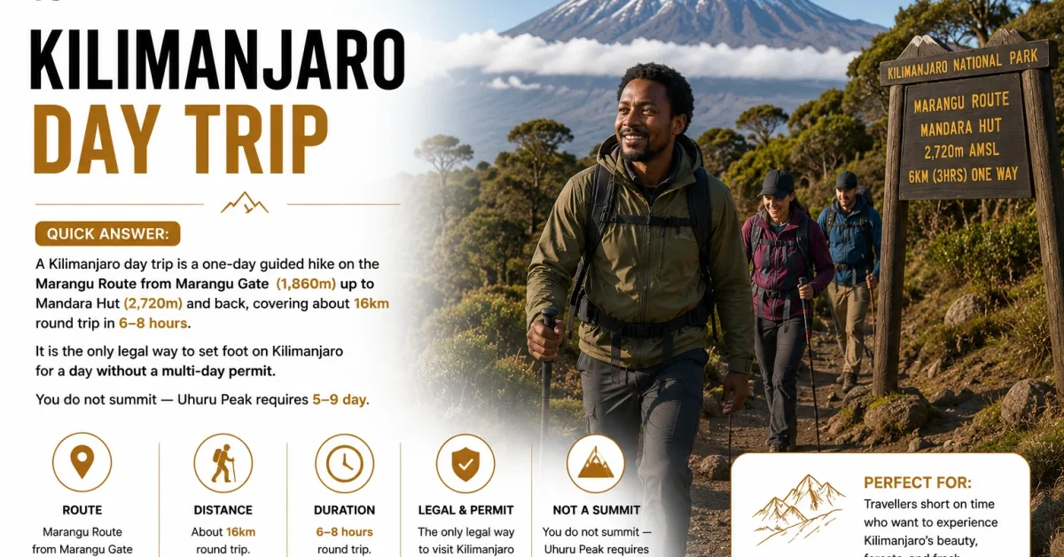 kilimanjaro day trip