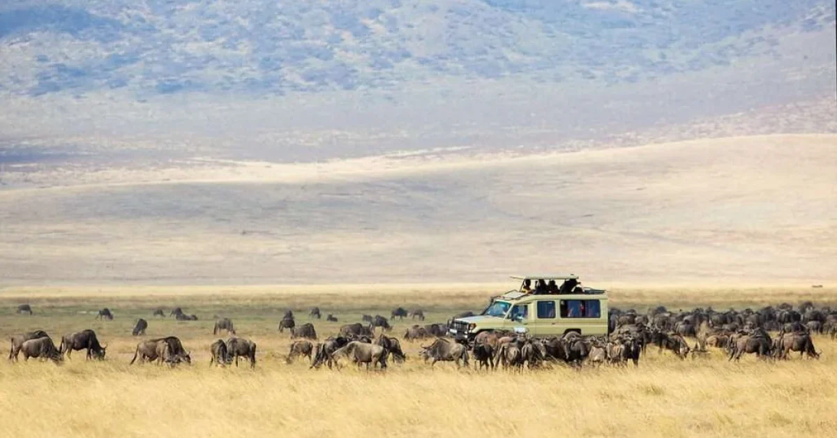 low-season-1-1024x597